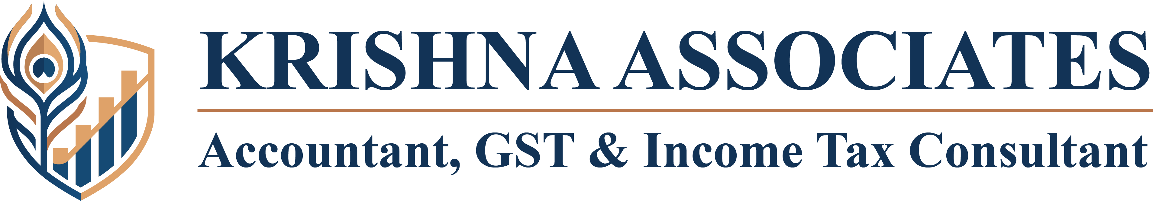 Accountant, GST & Income Tax Consultant in Vadodara